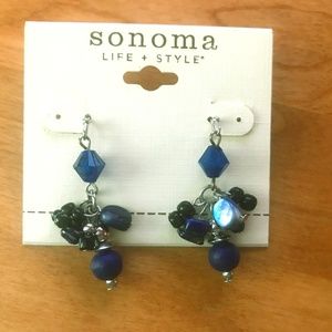 2/8, 3/11, or 4/14! Sonoma Dangle Earrings